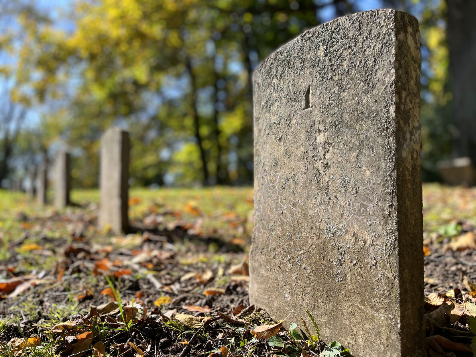 Cayuga County Poor House Cemetery2.JPG